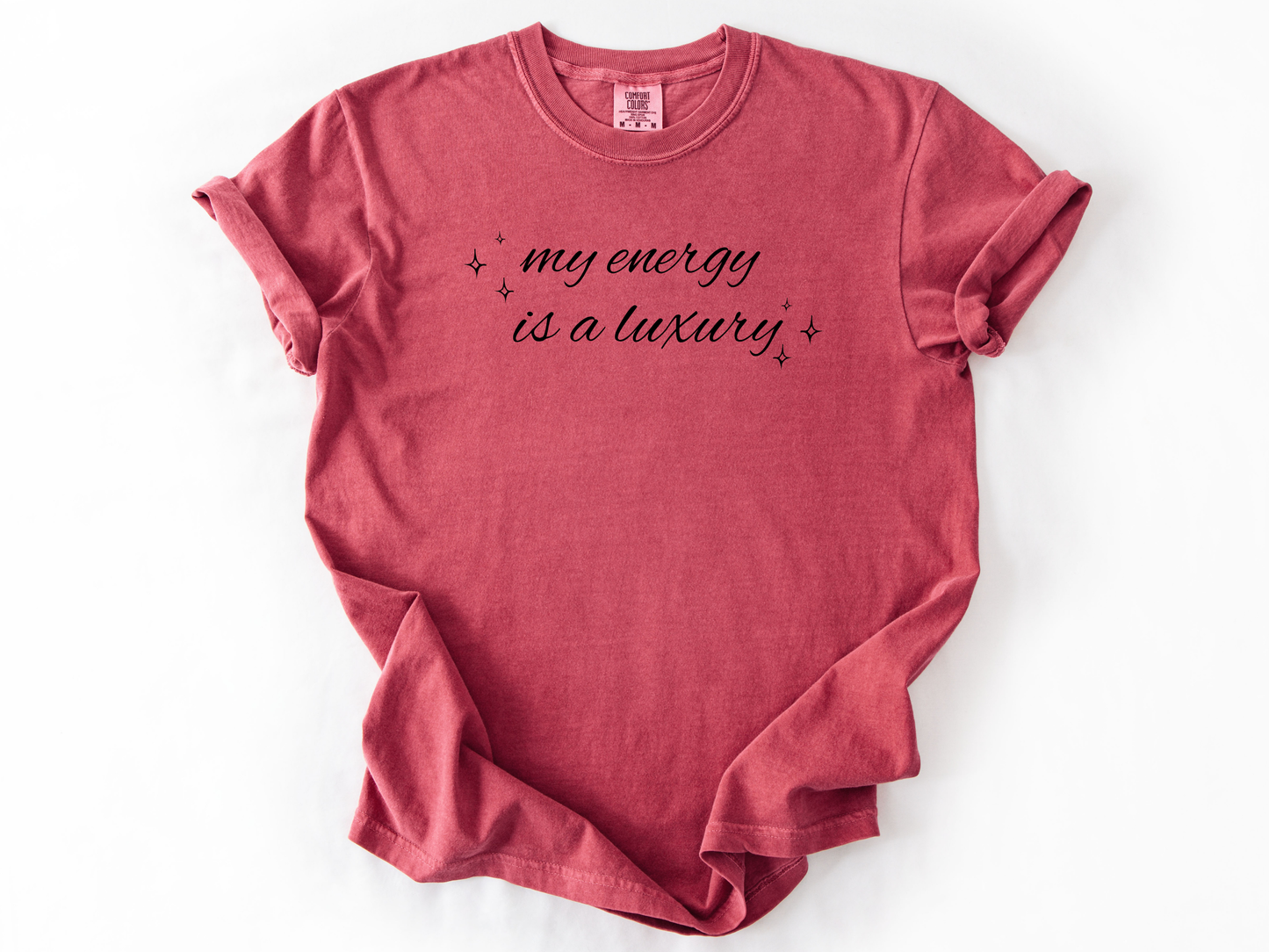 Fangirl Statement Shirt, Comfort Colors Tee, Bold Women Graphic Top, Self Love Gift for Her, Western Cowgirl Tour Tee, 2025 Energy Shirt