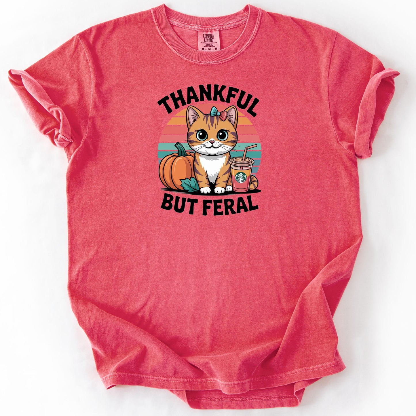 Thankful But Feral Cat Shirt – Funny Fall Pumpkin Tee, Comfort Colors® Thanksgiving Graphic T-Shirt