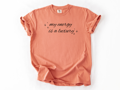 Fangirl Statement Shirt, Comfort Colors Tee, Bold Women Graphic Top, Self Love Gift for Her, Western Cowgirl Tour Tee, 2025 Energy Shirt